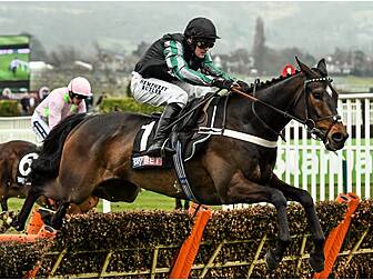 Altior will not run in the Cha...